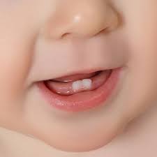 Importance Of Primary Baby Teeth Kenmore Wa Kenmore Pediatric Dentistry