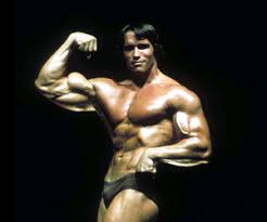 arnold schwarzenegger workout plan exercise com