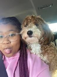 Shaggy's Kennel Responds to Kennel Cough Complaint