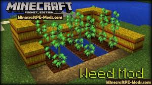 Some users may not want to use jailbreak on their ios device, and that is why recently mojang has officially allowed. Weed 24 Mod For Minecraft Pe 1 8 1 7 1 Download