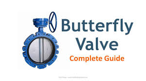 Butterfly Valve Types Wafer Lug Double Offset And Triple