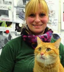 Bilanz nach drei Jahren und Vorhaben des Vorstands: Erweiterung der  Katzen-Gruppenhaltung