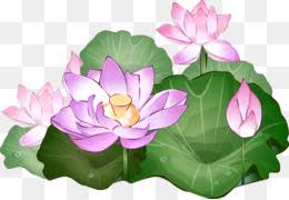 Maybe you would like to learn more about one of these? Bunga Teratai Unduh Gratis Cakra Manipura Hindu Energi Bunga Teratai Gambar Png