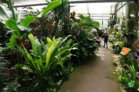 A visit to the second largest butterfly house in germany is certainly one of the highlights of a mainau day out. Schmetterlingshaus Maximilianpark Freizeitpark Welt De