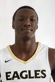 The News-Press 2023 All-Area Boys Basketball Team sponsored by Babcock Ranch