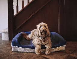 Shop costco.com's selection of dog beds. One For One Dog Beds Foam Dog Bed