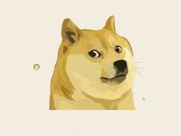 Video is return of the doge by zimonitrome. Dogecoin Price Slumps After Hashtag Fuelled Surge To Record High Technology News