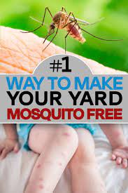 Eliminate Mosquitoes Fast Mosquito Diy Pest Control Insect Protection