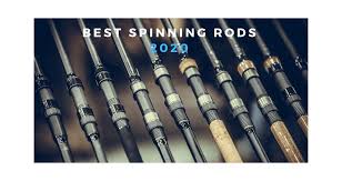 Best Spinning Rods 2020 Buyers Guide Fishing My Way