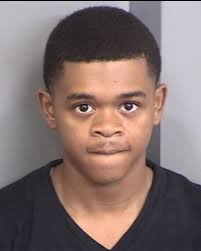 TWO DUVAL COUNTY TEENS ARRESTED ON GRAND THEFT AUTO AND CONCEALED WEAPON  CHARGES Two Duval County teenagers were arrested this morning