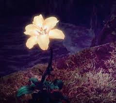 Glowing Flower Glowing Flowers Anime Scenery Wallpaper Disney Princess Images