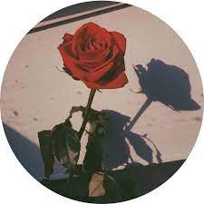 Maybe you would like to learn more about one of these? No Profile Picture Instagram Aesthetic Novocom Top