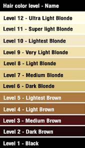 Achieving a beautiful hair color is always influenced by many factors from the physical characteristics of the client's hair to its natural color. How To Bleach Hair At Home Safely All About The Gloss