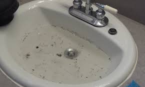 7 easy steps to unclog a bathroom sink