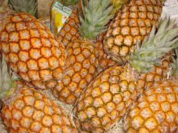 Ananas Pain De Sucre Au Benin Doubler Le Rendement Commodafrica