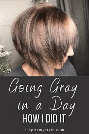 How To Go Gray Quickly My Experience Going Gray In A Day Hair Color Remover Gray Hair Growing Out Natural Gray Hair