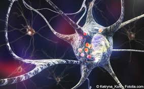 Symptoms generally develop slowly over years. Parkinson Symptome Diagnostik Therapie Gelbe Liste