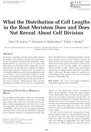 Check spelling or type a new query. Pdf What The Distribution Of Cell Lengths In The Root Meristem Does And Does Not Reveal About Cell Division