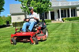 The type of turfgrass and weeds native to. Lawn Mowing The 11 Tips You Need To Know
