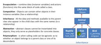 Start studying quiz 1 (hdfs 3331: Object Oriented Programming Python Flashcards Quizlet