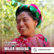 Quiero decirles que las niñas y mujeres indígenas son el pilar que sostiene  la cohesión y conservación de su idioma y costumbres. Desde el Senado de la  República seguiremos transformando para garantizar