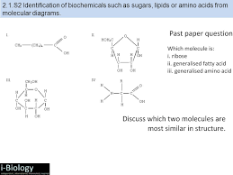 Topic 2 Molecular Biology 2 1 2 4 The Background Is Just