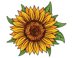 Free Free 134 Sunflower Svg Clip Art SVG PNG EPS DXF File