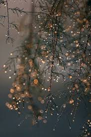My Aesthetic Things Winter Lights Aesthetic Home mssg tags main blog. winter lights aesthetic