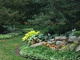 Maybe you would like to learn more about one of these? Daylilies In My Hosta Garden