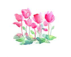 Red and purple is a rare combination in interior. Cyclamen Original Watercolour Red And Purple Flower Wall Art Red Green Floral Artwork Purple Flow Painting By Watercolor Poetry