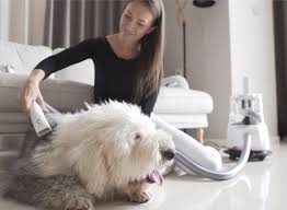 If you combined all the review photos for this delomo grooming brush tl;dr: Groompal The World S First Pet Care Tool Indiegogo