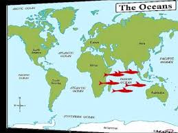 The international hydrographic organization recognizes it as an ocean, although some oceanographers call it the arctic sea. The Five Oceans Song For Kids Youtube