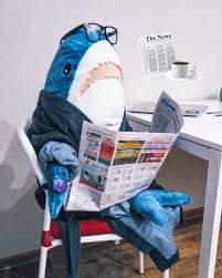 People Are Obsessed With This Plush Shark From Ikea Shark Plush Cute Shark Shark