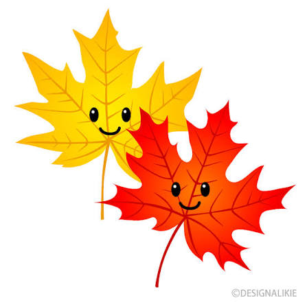 Red and Yellow Cute Maple Leaves Clip Art Free PNG Image｜Illustoon
