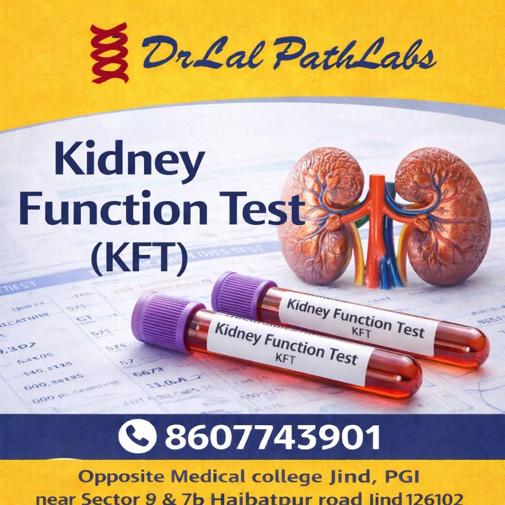 Kidney Function Test product image