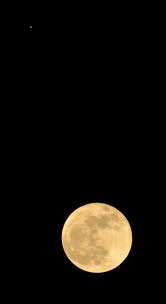 Detailed information about jyestha purnima 2021 vrat date, puja vidhi the glory of this purnima is unique, and as fast is also kept on this full moon day. Kartik Purnima Wikipedia