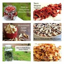 How To Dehydrate Food In A Nesco Food Saver Dehydrator Recipes Food Food Saver