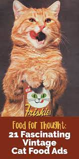 Food For Thought 21 Fascinating Vintage Cat Food Ads The Catington Post Vintage Cat Cat Food Cats