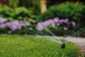 Trugreen is a top lawn care company. Customized Lawn Care Pricing Trugreen