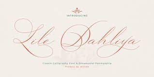 New colors and the possibility to display only the outlines of the font. Modern Calligraphy Fonts Myfonts