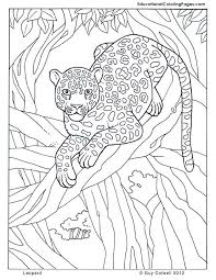 Landscape coloring pages for adults tropical beach coloring page. Adult Coloring Pages Colorsuki Com