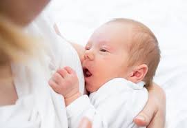 Oct 16, 2021 · trivia and interesting information from this quiz. Top 20 Common Breastfeeding Questions With Answers