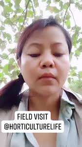 About today..Thenzawl Dragonfruit growers training @centre_of_excellence  Lunglei Zau, Serchhip and @Zawlpui .. #2021diary #trainingday  #blessedmoments #funwith #bestie #photoshoot #💞💞💞