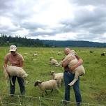 Rotational Grazing Workshop
