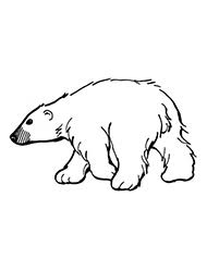 Check spelling or type a new query. Planse De Colorat Cu Animale Salbatice