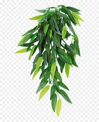 Maybe you would like to learn more about one of these? Houseplant Reptile Hanging Basket Hanging Basket Plants Png Transparent Png Vhv
