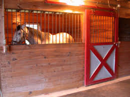 A place to keep tools, bicycles etc. An Introduction To Horse Management Horses