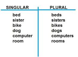 Nouns Number Singular And Plural Singular And Plural Singular And Plural Nouns Plurals