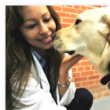 Early Career Program