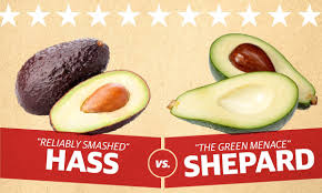 The avocado fruit has creamy green flesh with a rich, buttery taste. Avocad No Why Does Everyone Hate The Shepard Avocado Avocados The Guardian